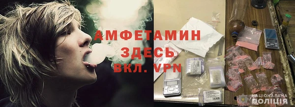 молекула духа Алзамай